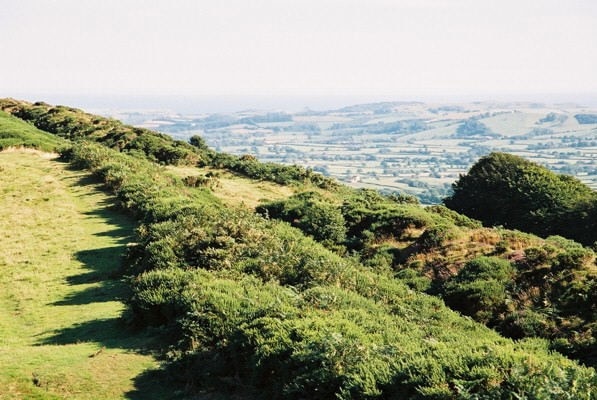 Atlas of Hillforts 3603 Pilsdon: Pilsdon Pen hill fort. Pilsdon Pen is 277m high; one of the highest points in Dorset. It was probably used by the Celtic Durotriges tribe before the Roman invasion. View to English Channel