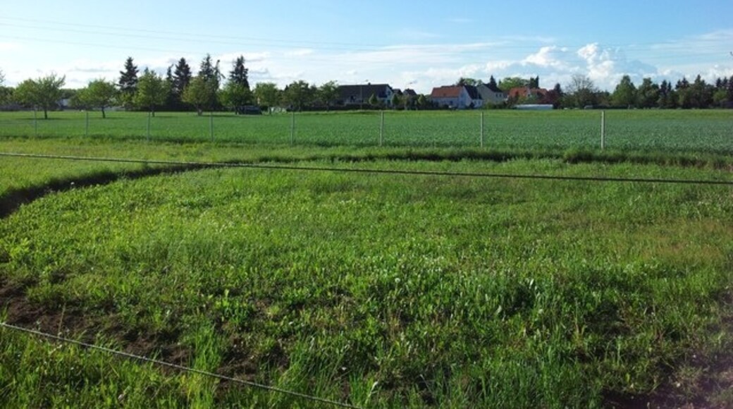 Photo "Westheim" by Paul L on geo.hlipp.de (CC BY-SA) / Cropped from original