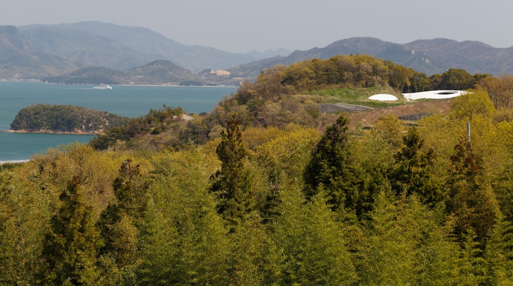 Photo "Teshima Island" by KimonBerlin (CC BY-SA) / Cropped from original