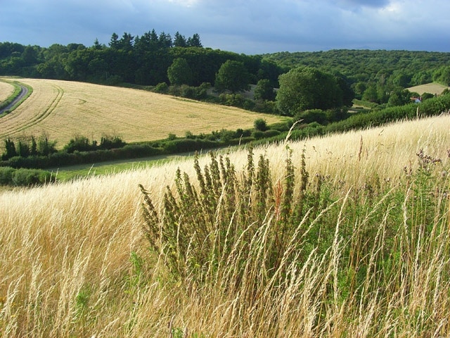 Photo "Little Marlow" by Andrew Smith (CC BY-SA) / Cropped from original