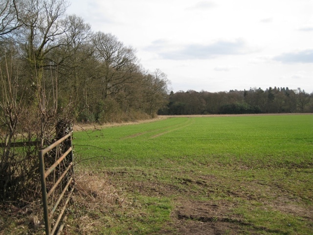 Edge of a wood, Haseley. The land falls to the tree-lined Inchford Brook. Tall conifers on the skyline are at Haseley Manor across the gentle valley 1756975.