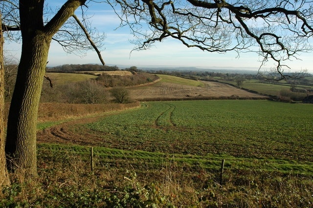 Photo "Berrow" by Philip Halling (CC BY-SA) / Cropped from original