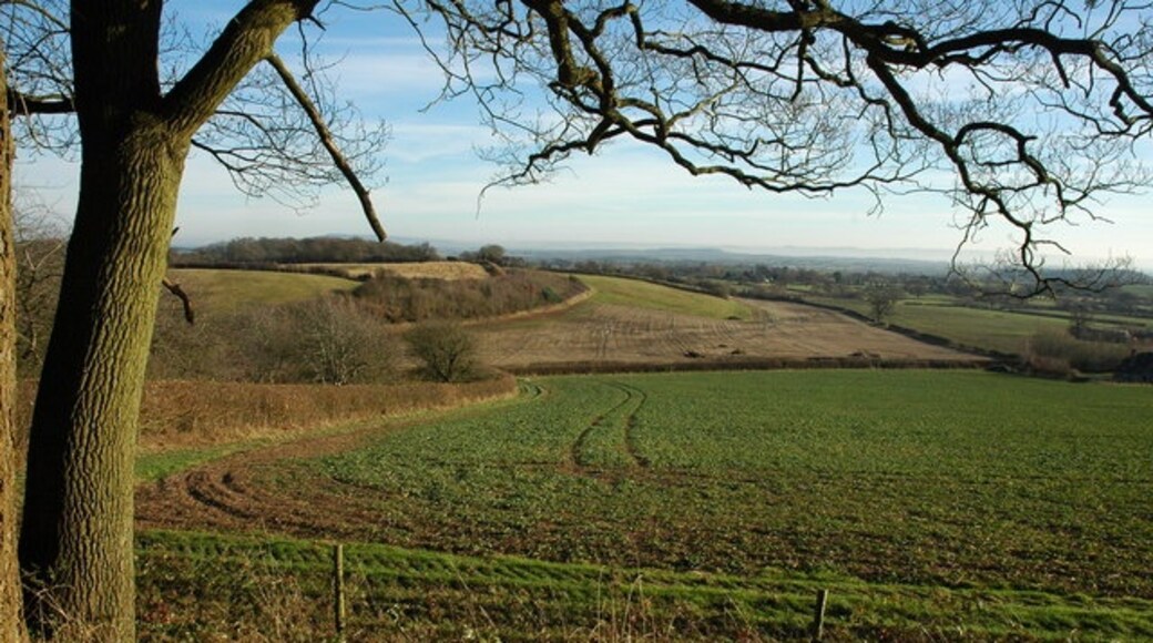 Foto “Berrow” tomada por Philip Halling (CC BY-SA); recorte de la original