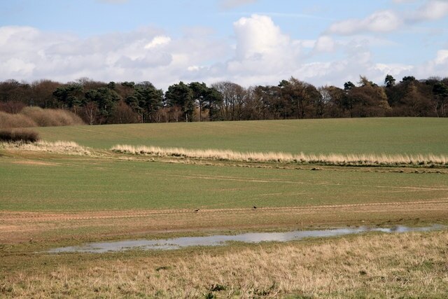 Kuva ”Bridge Hewick” käyttäjältä David Rogers (CC BY-SA) / rajattu alkuperäisestä kuvasta