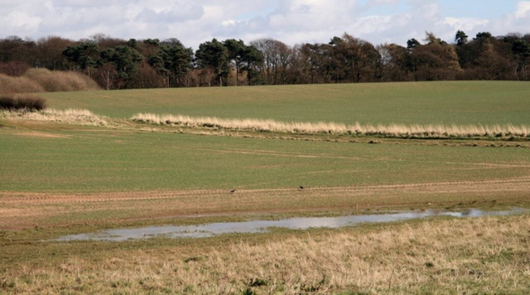 Kuva ”Bridge Hewick” käyttäjältä David Rogers (CC BY-SA) / rajattu alkuperäisestä kuvasta