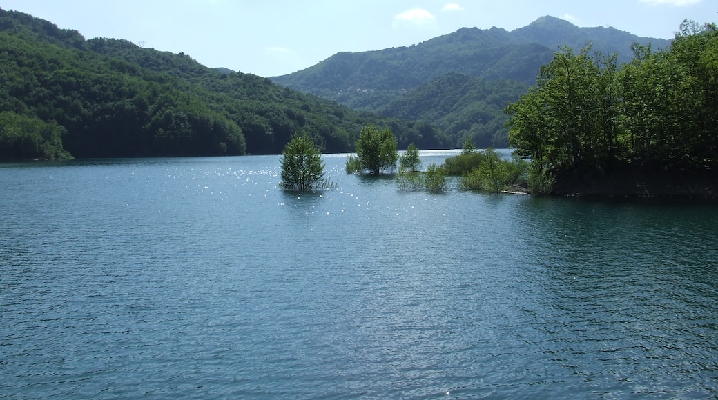 Foto "Lago del Brugneto" de Stefano Mazzone (CC BY-SA) / Recortada do original