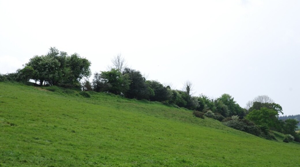 Foto "Winterborne Clenston" por Toby (CC BY-SA) / Recortada de la original