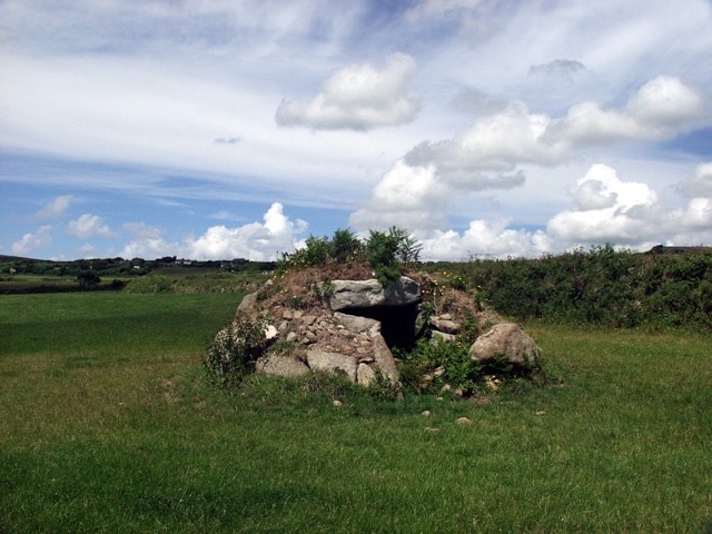 Brane burial chamber. Situated on open farmland, and used as a sheep shelter. From memory, taken looking west.