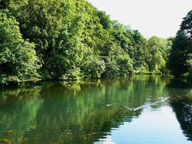 Lake at Ruskin Mill College, Nailsworth This section of one of the valleys that run through Nailsworth is home to the Ruskin Mill College which provides an educational resource for students with particular learning needs http://www.rmet.co.uk/index.php/the_colleges/ruskin_mill/ The numerous ponds and lakes are havens for numerous waterfowl, several huge carp and brown trout.