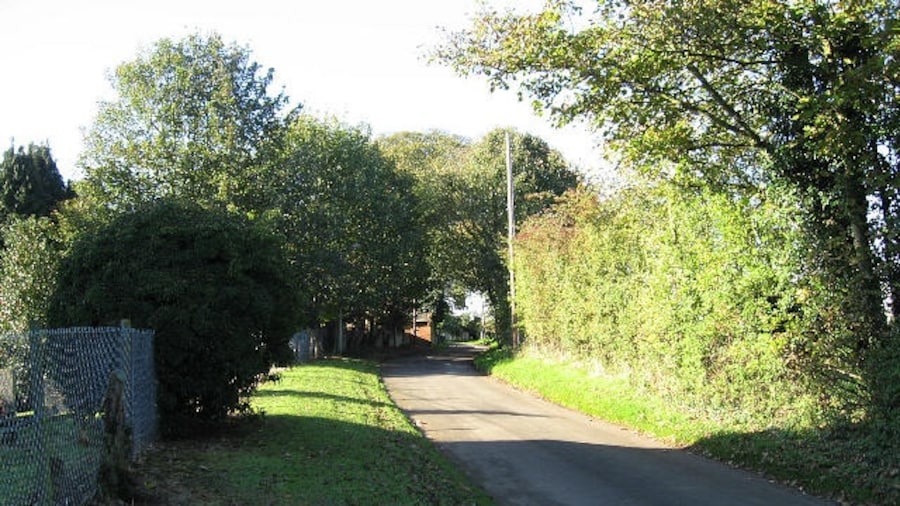 Photo "Town Green Road Towards Watton from Watton Green." by Roger Gilbertson (Creative Commons Attribution-Share Alike 2.0) / Cropped from original