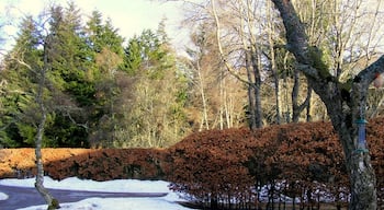 The Grounds at Kirkton Lodge