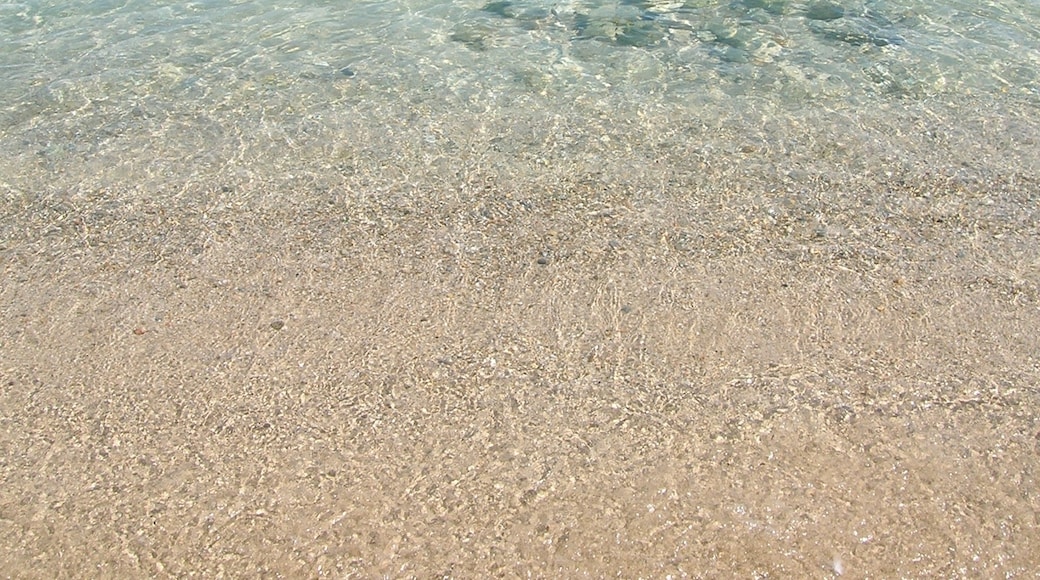 "Lazzaretto strand"-foto av Silvia Franceschetti (CC BY-SA) / Urklipp från original