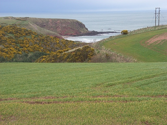 Farmland above Pease Dean Looking down to Pease Bay from the A1107 at Woodend.