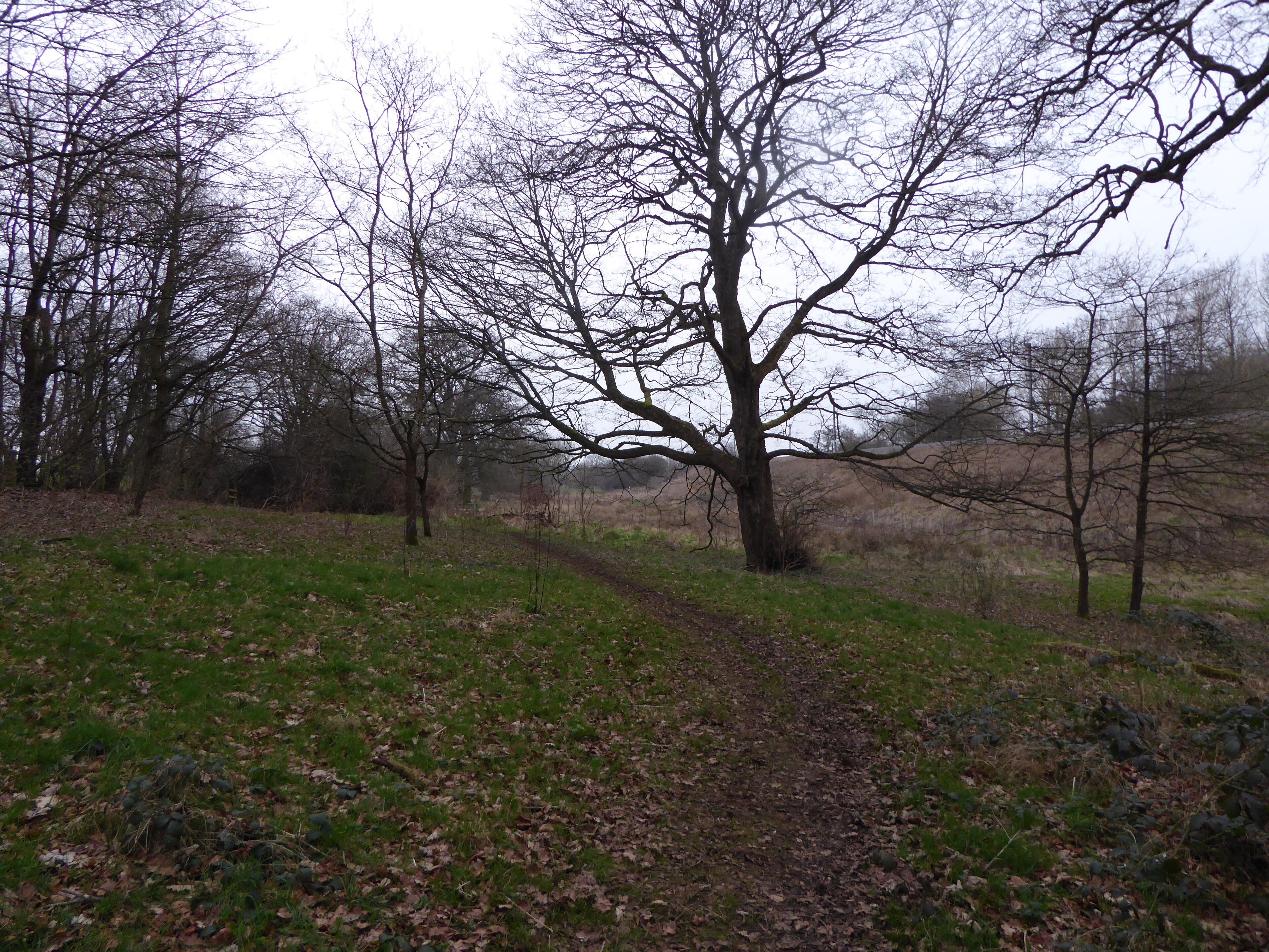 Billede "Church with Chapel Brampton" af Dudley Miles (CC BY-SA) / beskåret fra det originale billede