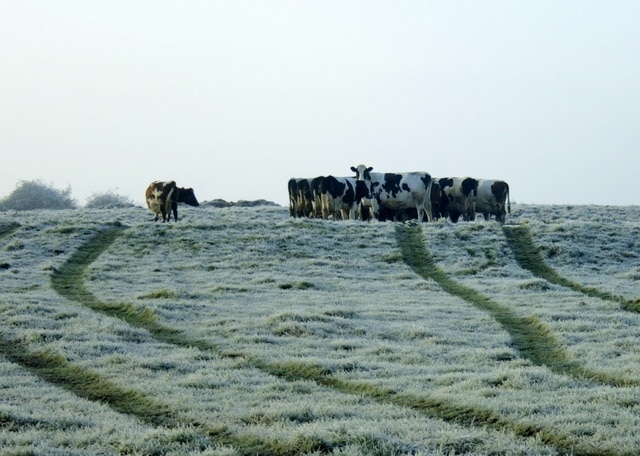 Billede "Keevil" af Maurice Pullin (CC BY-SA) / beskåret fra det originale billede