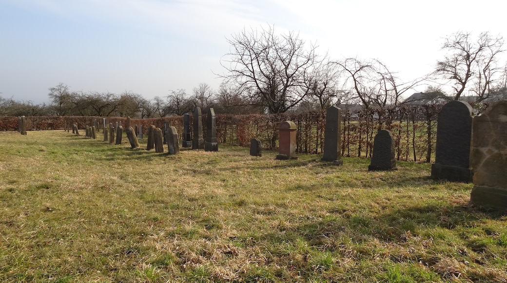 Kuva ”Bellersheim” käyttäjältä Cherubino (CC BY-SA) / rajattu alkuperäisestä kuvasta