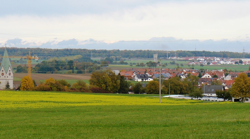 Photo "Hildrizhausen" by qwesy qwesy (CC BY) / Cropped from original