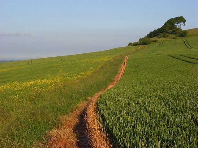 Photo "Woodborough" by Andrew Smith (CC BY-SA) / Cropped from original