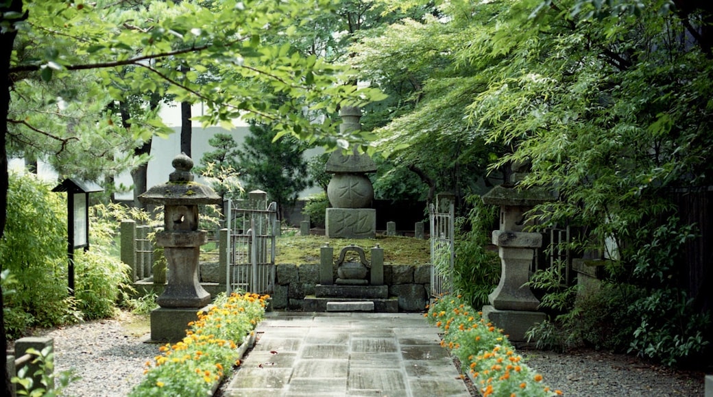 Kuva ”Nukazuka” käyttäjältä shikabane taro (CC BY) / rajattu alkuperäisestä kuvasta