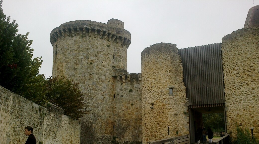 Château de la Madeleine, Chevreuse, Yvelines (département), France