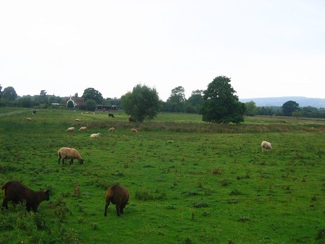 Brimfield Common. A large area of the square is common grazings, This is Brimfield Common looking west. Beyond the farm is Wyson Common, which I have yet to visit. This land is still grazed and shows a glimpse of an alternative to enclosure.