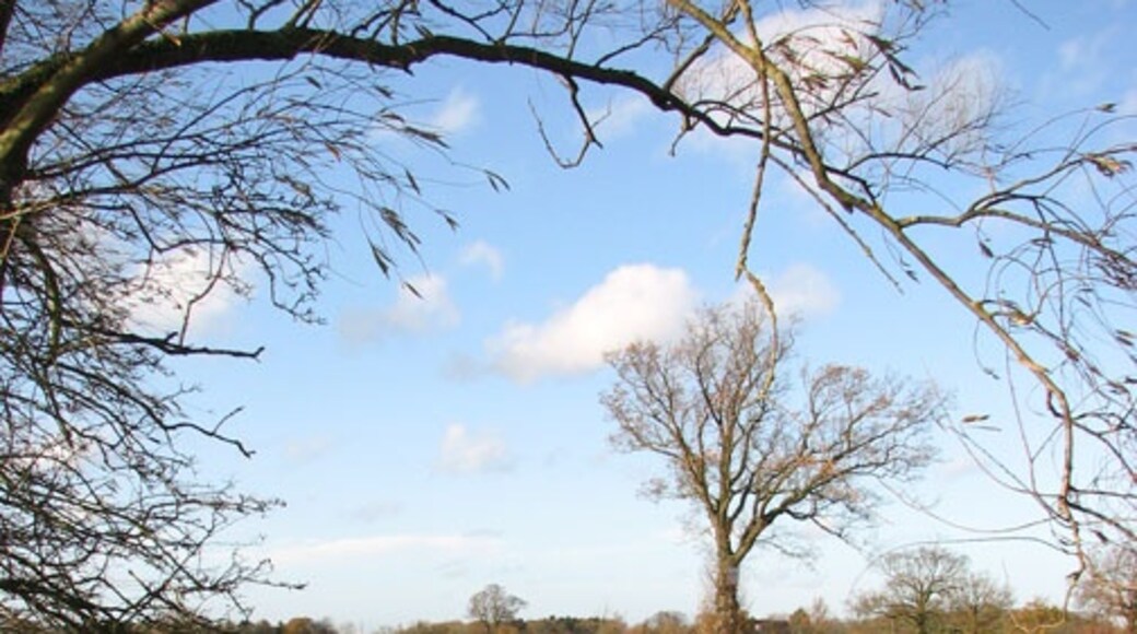 Foto „Dickleburgh und Rushall“ von Evelyn Simak (CC BY-SA)/zugeschnittenes Original