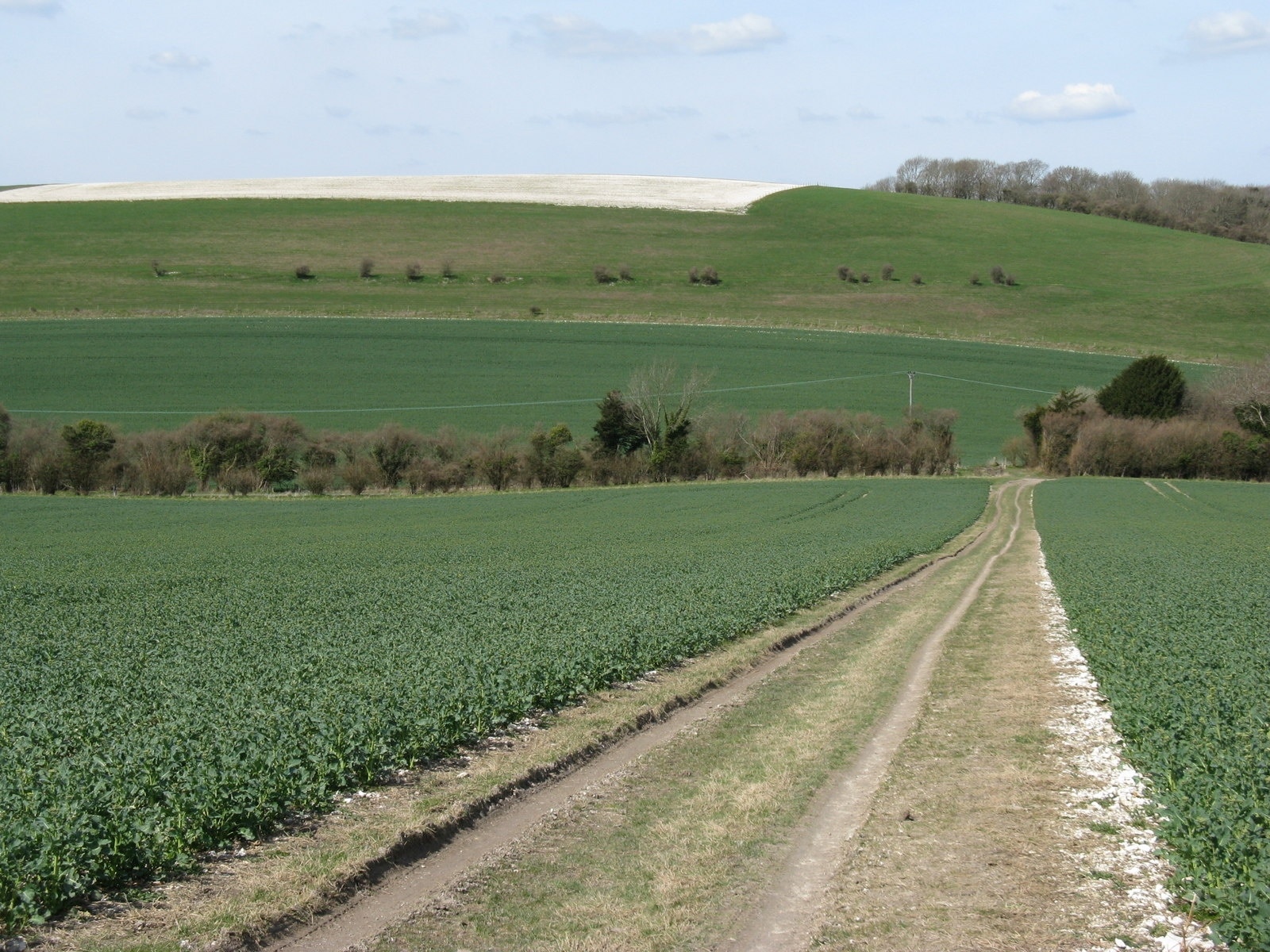 Foto „Sutton“ von Dave Spicer (CC BY-SA)/zugeschnittenes Original