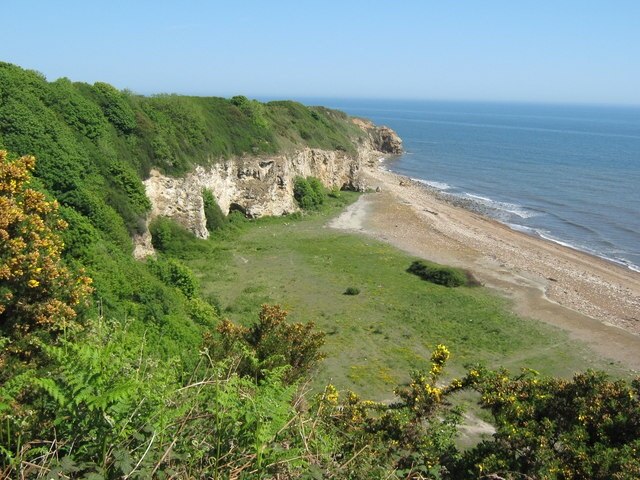 Hawthorn Hive A bay on the County Durham coast at the mouth of Hawthorn Burn