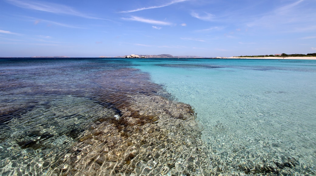 Photo "Spiaggia La Licciola" by Carlo Pelagalli (CC BY-SA) / Cropped from original