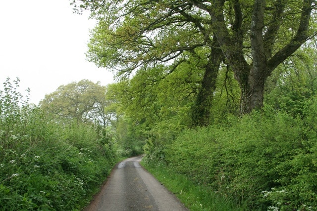 Stawley: near Stawley Wood Farm. Looking west-south-west along the access road to the farm which also serves as a public footpath