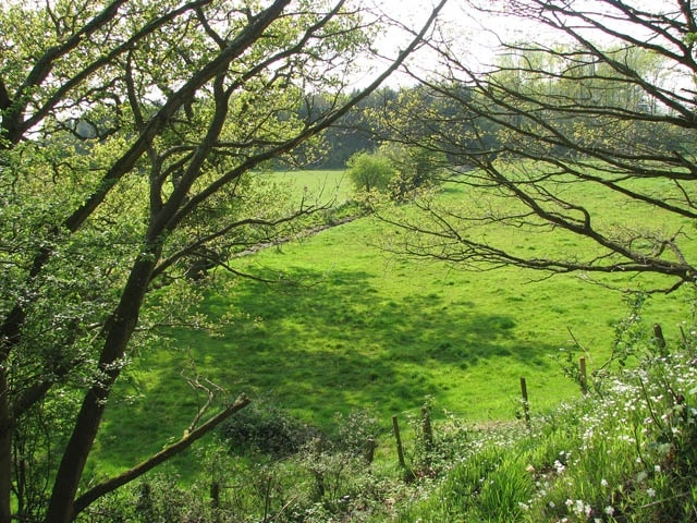 Pasture beside the railway line This view was taken from the dismantled trackbed which once used to carry trains of the Midland and Great Northern Railway. The stream seen traversing the pasture is the River Bure. The River Bure rises near Melton Constable, 18 kilometres miles upstream of Aylsham, which was the original head of navigation. It flows into the North Sea by Breydon Water near Gorleston, further to the southeast.