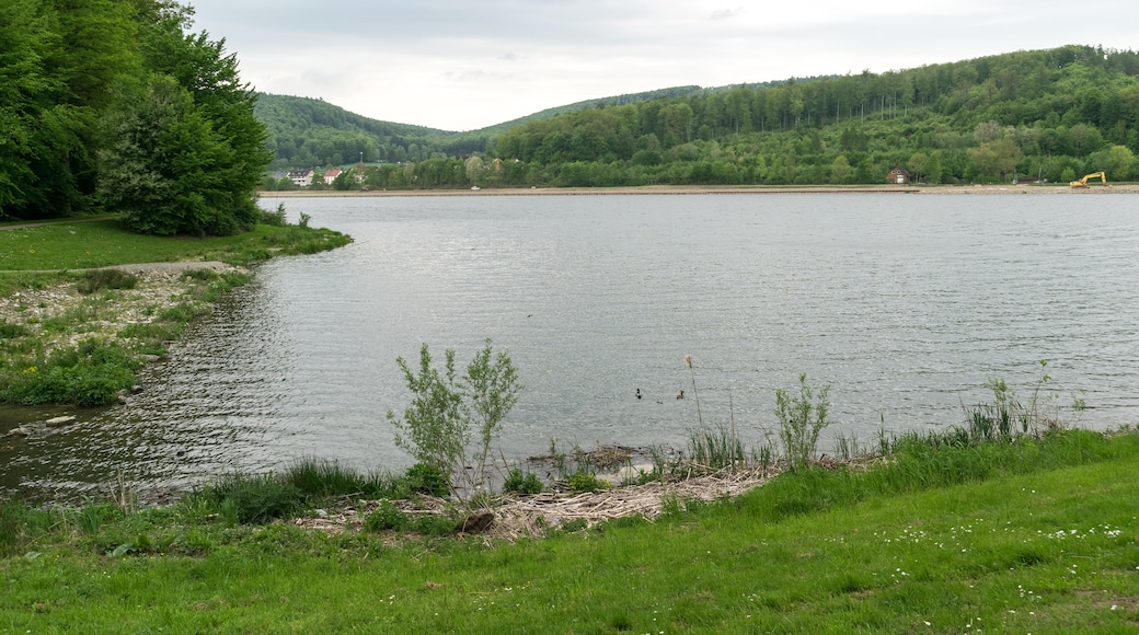 Foto "Lago di Schieder" di Tsungam (CC BY-SA) / Ritaglio dell’originale
