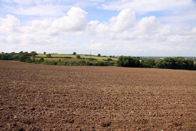 Looking across a field towards the golf course