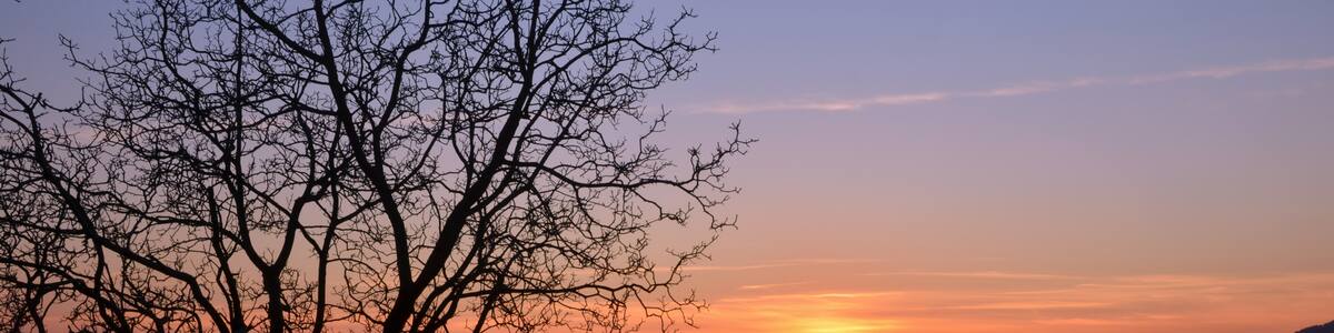 Photo "Monte Barro (Q47478277)" by Elisa Rasca (page does not exist) (Creative Commons Attribution-Share Alike 4.0) / Cropped from original