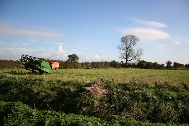 Kuva ”Bratoft” käyttäjältä Richard Croft (CC BY-SA) / rajattu alkuperäisestä kuvasta