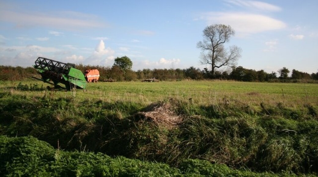 Kuva ”Bratoft” käyttäjältä Richard Croft (CC BY-SA) / rajattu alkuperäisestä kuvasta