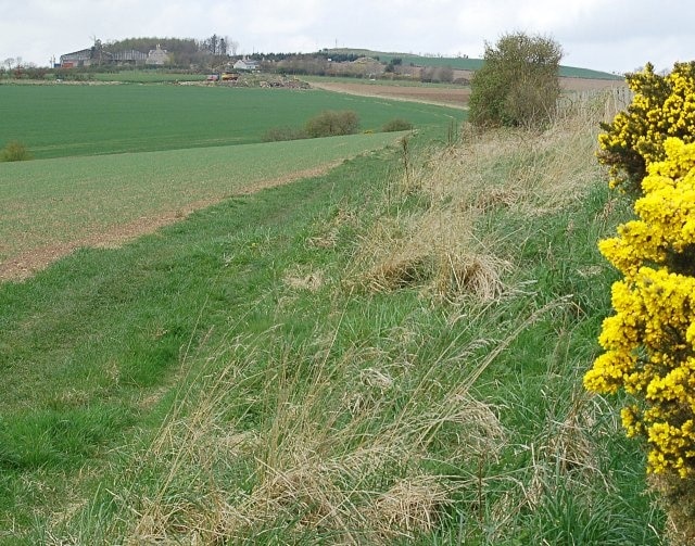 The Blebocraigs path Around midway between Bonfield and Clatto farm in the distance.