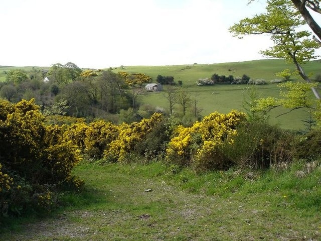 Bridle Path on Baron Hill. Start of the bridle path which leads towards Dawn.