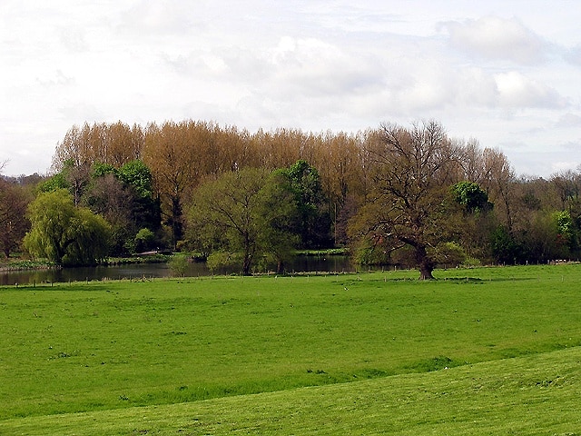 The Lake Benham Park: Near Speen and Newbury. This lake view is of the far western section of the lake and situated in the centre of this grid square. This picture was taken from the north side of the lake looking south west.