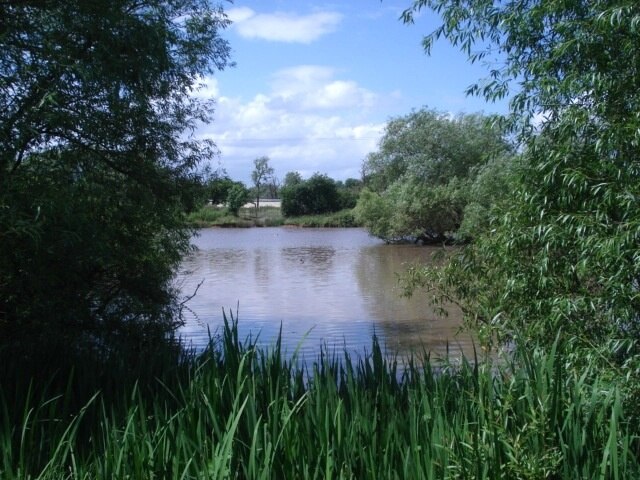 "Elmbridge"-foto av Trevor Rickard (CC BY-SA) / Urklipp från original