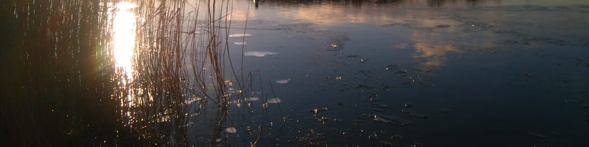 Photo "Kiessee Wegeleben" by de:Benutzer:Hejkal (Creative Commons Attribution-Share Alike 3.0 de) / Cropped from original
