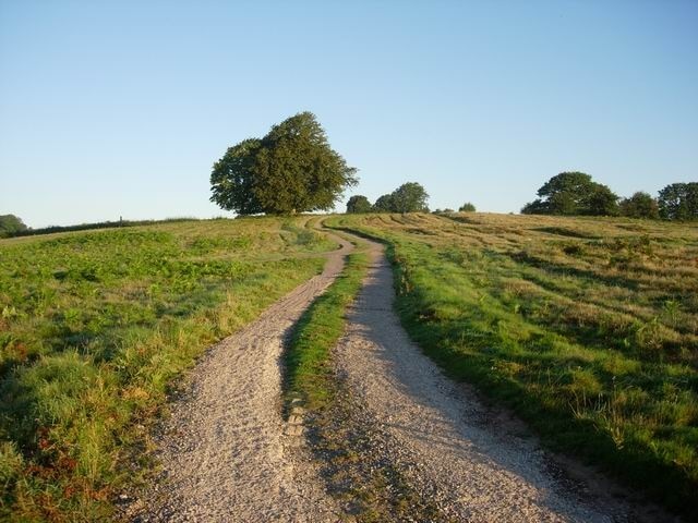 Track on Ewyas Harold Common Providing access to buildings on the common.