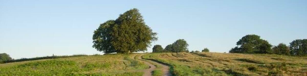 Photo "Track on Ewyas Harold Common Providing access to buildings on the common." by Hugh Venables (Creative Commons Attribution-Share Alike 2.0) / Cropped from original