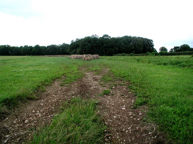 Field Off Somertonfield Road Looking across the field towards West Wood.