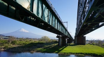 富士川、東海道本線の下