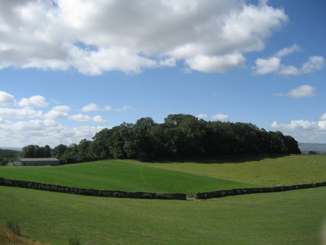 Foto “Martons Both” tomada por Chris Heaton (CC BY-SA); recorte de la original