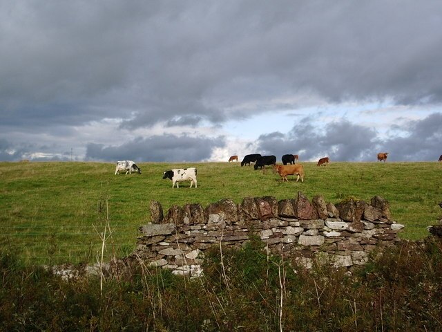 Photo "Castle Sowerby" by Alexander P Kapp (CC BY-SA) / Cropped from original