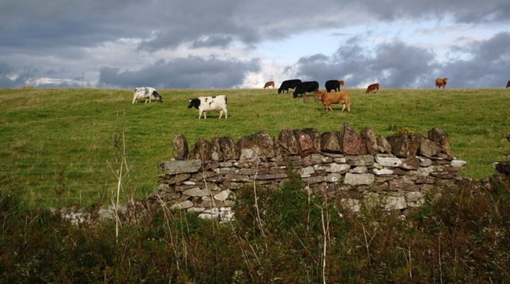 Photo "Castle Sowerby" by Alexander P Kapp (CC BY-SA) / Cropped from original