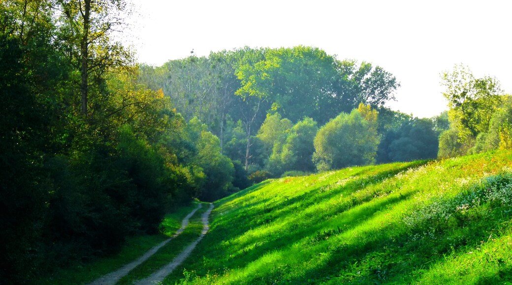 Photo "Neuhäusel" by Dg-505 (CC BY) / Cropped from original