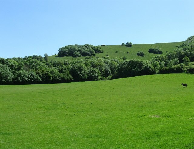 Billede "Storrington og Sullington" af Simon Carey (CC BY-SA) / beskåret fra det originale billede